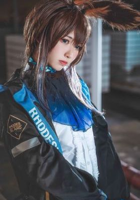 蔷薇风暴免费观看